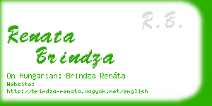 renata brindza business card